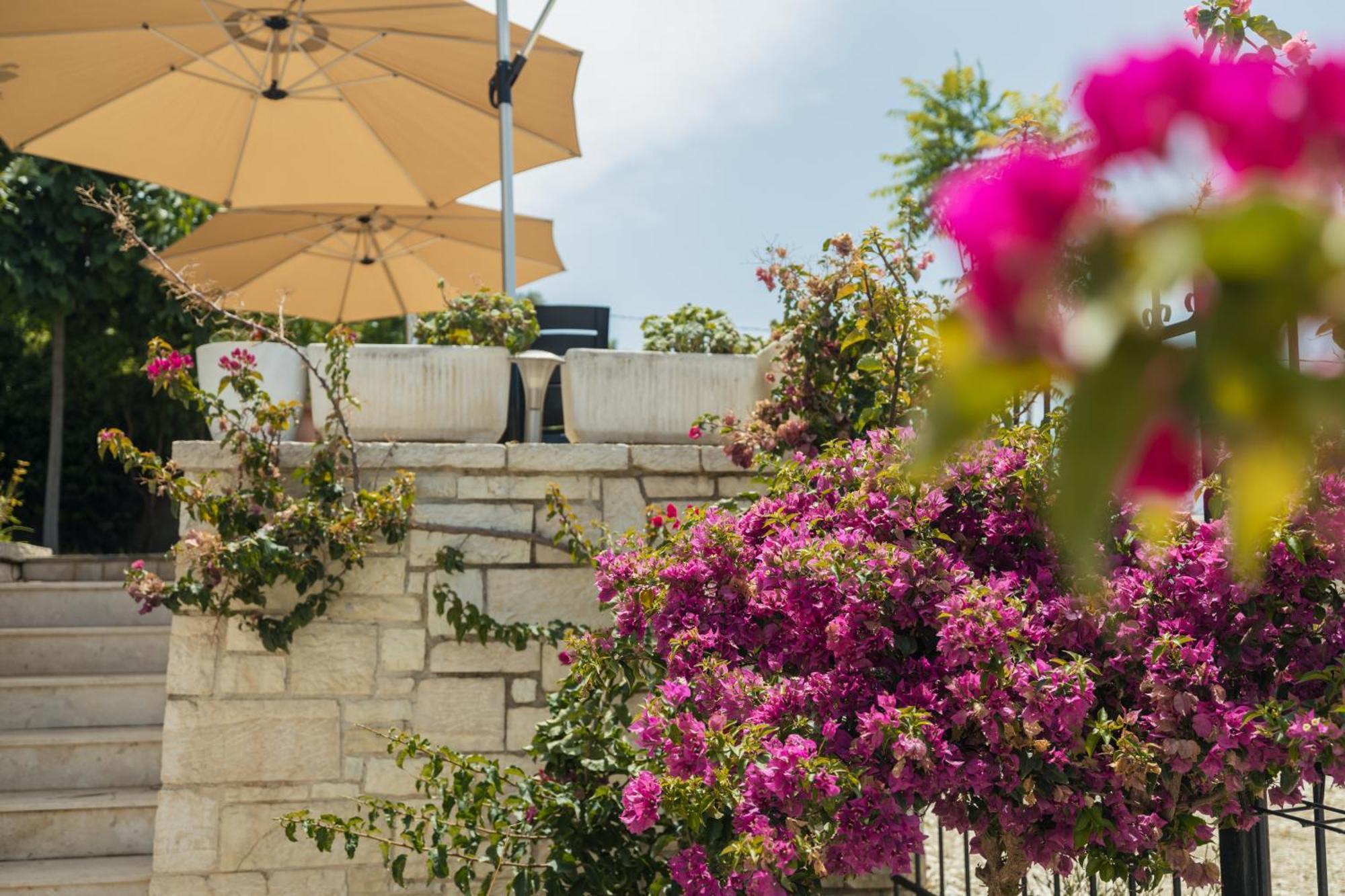 Voyage Villa Vlorë Exteriér fotografie